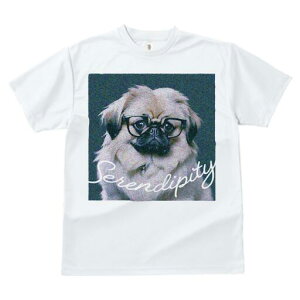 yLj[Y TVc fB[X t@  t  vg JWA 킢 lԗp h ̃fUC ʔ Kl yLj[Y