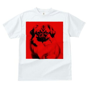 yLj[Y TVc fB[X t@  t  vg JWA 킢 lԗp h ̃fUC ʔ Kl yLj[Y