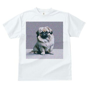 yLj[Y TVc fB[X t@  t  vg JWA 킢 lԗp h ̃fUC ʔ Kl yLj[Y