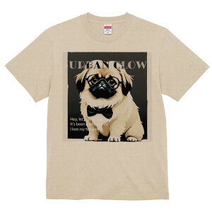 yLj[Y TVc fB[X t@  t  vg JWA 킢 lԗp h ̃fUC ʔ Kl yLj[Y lN^C