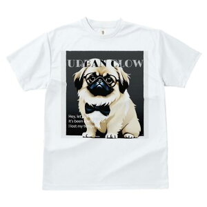 yLj[Y TVc fB[X t@  t  vg JWA 킢 lԗp h ̃fUC ʔ Kl yLj[Y lN^C