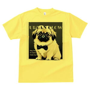 yLj[Y TVc fB[X t@  t  vg JWA 킢 lԗp h ̃fUC ʔ Kl yLj[Y lN^C