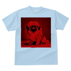 yLj[Y TVc fB[X t@  t  vg JWA 킢 lԗp h ̃fUC ʔ Kl yLj[Y