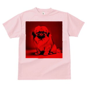 yLj[Y TVc Y LbY t@  t  vg JWA 킢 lԗp h ̃fUC ʔ Kl yLj[Y