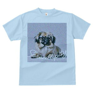 yLj[Y TVc fB[X t@  t  vg JWA 킢 lԗp h ̃fUC ʔ Kl yLj[Y