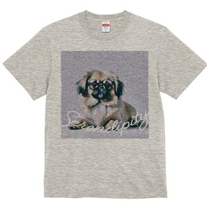 yLj[Y TVc fB[X t@  t  vg JWA 킢 lԗp h ̃fUC ʔ Kl yLj[Y