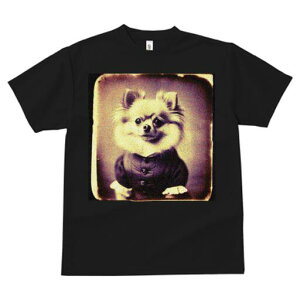 |jA TVc fB[X t@  t  vg JWA 킢 lԗp h ̃fUC ʔ g |jA Be[W Âʐ^ ߑ