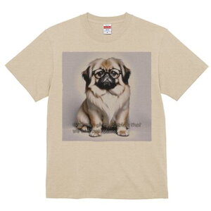 yLj[Y TVc fB[X t@  t  vg JWA 킢 lԗp h ̃fUC ʔ Kl yLj[Y