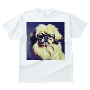 yLj[Y TVc Y LbY t@  t  vg JWA 킢 lԗp h ̃fUC ʔ Kl yLj[Y