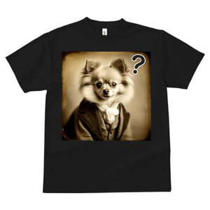 ` TVc fB[X t@  t  vg JWA 킢 lԗp h ̃fUC ʔ ё ` 