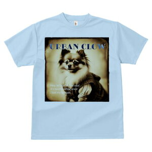 ` TVc fB[X t@  t  vg JWA 킢 lԗp h ̃fUC ʔ Be[W ` g ZsA 