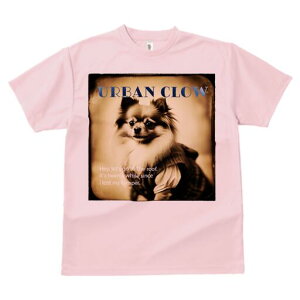 ` TVc fB[X t@  t  vg JWA 킢 lԗp h ̃fUC ʔ Be[W ` g ZsA 