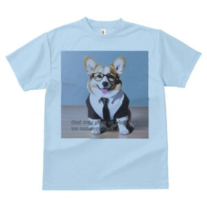 R[M[ TVc fB[X t@  t  vg JWA 킢 lԗp h ̃fUC ʔ Kl R[M[ X[c lN^C