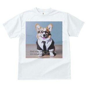 R[M[ TVc fB[X t@  t  vg JWA 킢 lԗp h ̃fUC ʔ Kl R[M[ X[c lN^C