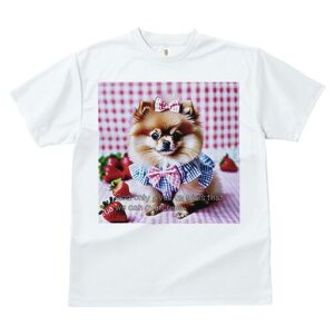 |jA TVc fB[X t@  t  vg JWA 킢 lԗp h ̃fUC ʔ  |jA { `FbN