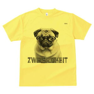 pO TVc fB[X t@  t  vg JWA 킢 lԗp h ̃fUC ʔ Kl pO