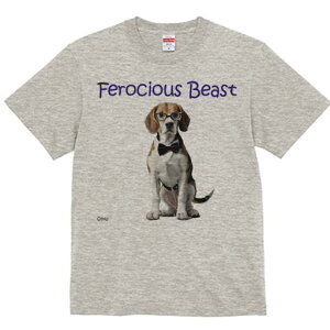 r[O TVc fB[X t@  t  vg JWA 킢 lԗp h ̃fUC ʔ Kl r[O lN^C