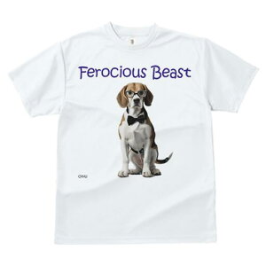 r[O TVc fB[X t@  t  vg JWA 킢 lԗp h ̃fUC ʔ Kl r[O lN^C