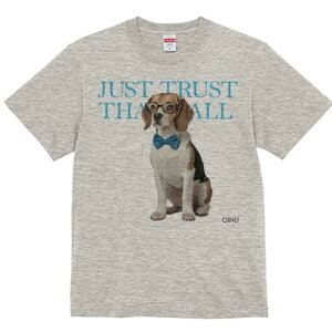 r[O TVc fB[X t@  t  vg JWA 킢 lԗp h ̃fUC ʔ Kl r[O lN^C