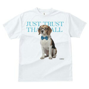 r[O TVc fB[X t@  t  vg JWA 킢 lԗp h ̃fUC ʔ Kl r[O lN^C