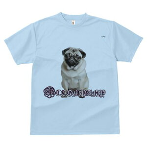 pO TVc fB[X t@  t  vg JWA 킢 lԗp h ̃fUC ʔ Kl pO