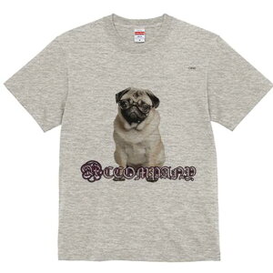 pO TVc Y LbY t@  t  vg JWA 킢 lԗp h ̃fUC ʔ Kl pO