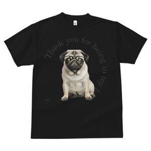 pO TVc Y LbY t@  t  vg JWA 킢 lԗp h ̃fUC ʔ Kl pO