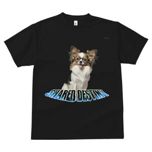 ` TVc Y LbY t@  t  vg JWA 킢 lԗp h ̃fUC ʔ Kl `