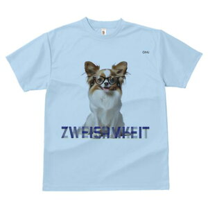 ` TVc fB[X t@  t  vg JWA 킢 lԗp h ̃fUC ʔ Kl `