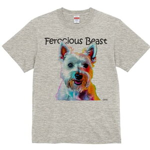 EGXgnChzCgeA TVc fB[X t@  t  vg JWA 킢 lԗp h ̃fUC ʔ EGXgnChzCgeA