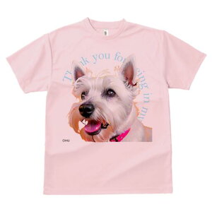 EGXgnChzCgeA TVc Y LbY t@  t  vg JWA 킢 lԗp h ̃fUC ʔ EGXgnChzCge