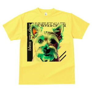 EGXgnChzCgeA TVc fB[X t@  t  vg JWA 킢 lԗp h ̃fUC ʔ  EGXgnChzCge