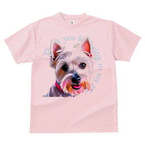 EGXgnChzCgeA TVc fB[X t@  t  vg JWA 킢 lԗp h ̃fUC ʔ EGXgnChzCgeA