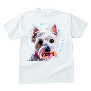 EGXgnChzCgeA TVc Y LbY t@  t  vg JWA 킢 lԗp h ̃fUC ʔ EGXgnChzCge