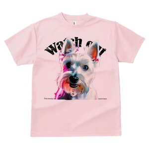 EGXgnChzCgeA TVc Y LbY t@  t  vg JWA 킢 lԗp h ̃fUC ʔ EGXgnChzCge