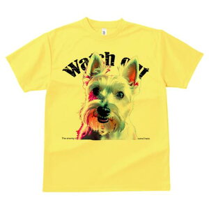 EGXgnChzCgeA TVc fB[X t@  t  vg JWA 킢 lԗp h ̃fUC ʔ EGXgnChzCgeA