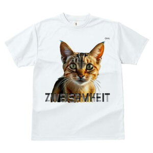 TVc fB[X t@  t  vg JWA 킢 lԗp h ̃fUC ʔ L