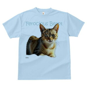 TVc fB[X t@  t  vg JWA 킢 lԗp h ̃fUC ʔ L