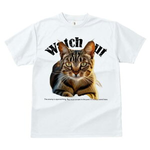 TVc fB[X t@  t  vg JWA 킢 lԗp h ̃fUC ʔ L Watch out