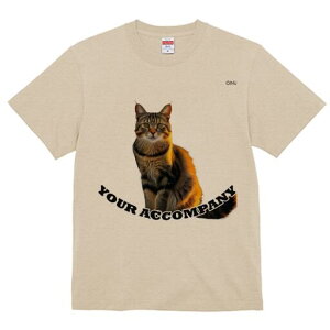 TVc fB[X t@  t  vg JWA 킢 lԗp h ̃fUC ʔ L ybg