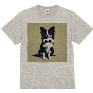 ps TVc fB[X t@  t  vg JWA 킢 lԗp h ̃fUC ʔ lN^C ps tH[}