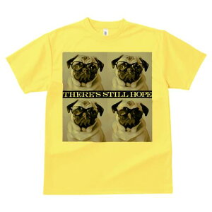 pO TVc fB[X t@  t  vg JWA 킢 lԗp h ̃fUC ʔ Kl pO