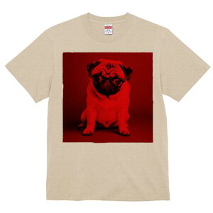 pO TVc Y LbY t@  t  vg JWA 킢 lԗp h ̃fUC ʔ Kl pO