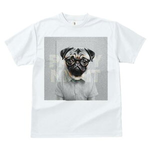 pO TVc fB[X t@  t  vg JWA 킢 lԗp h ̃fUC ʔ Vc pO Kl