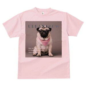 pO TVc Y LbY t@  t  vg JWA 킢 lԗp h ̃fUC ʔ Kl pO o_i