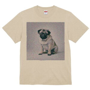 pO TVc Y LbY t@  t  vg JWA 킢 lԗp h ̃fUC ʔ Kl pO