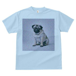 pO TVc Y LbY t@  t  vg JWA 킢 lԗp h ̃fUC ʔ Kl pO