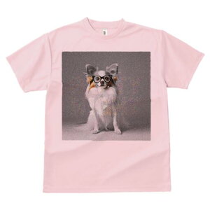 ` TVc fB[X t@  t  vg JWA 킢 lԗp h ̃fUC ʔ Kl `