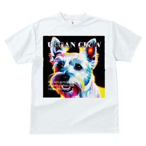 EGXgnChzCgeA TVc Y LbY t@  t  vg JWA 킢 lԗp h ̃fUC ʔ EGXgnChzCge