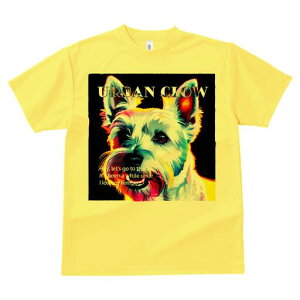 EGXgnChzCgeA TVc fB[X t@  t  vg JWA 킢 lԗp h ̃fUC ʔ TVc EGXgnChzC